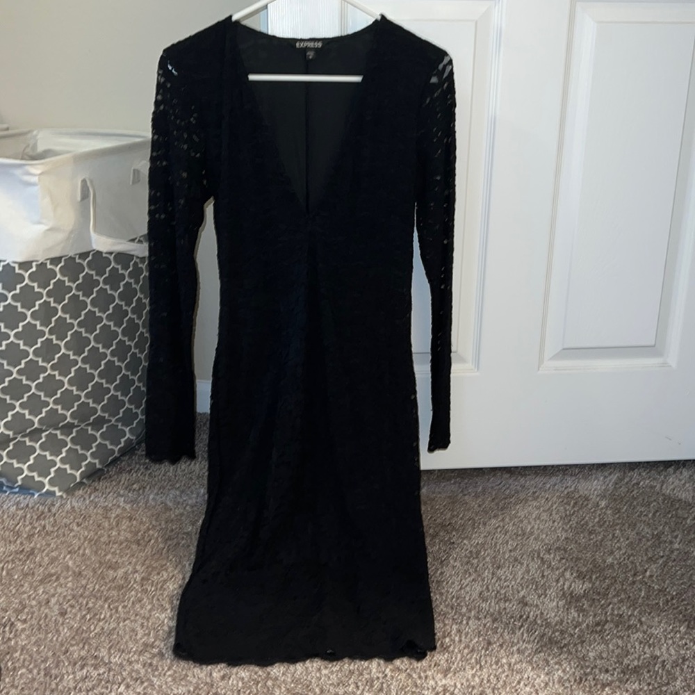 Express black lace v-cut neckline dress.